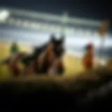 Detailed analysis of horse racing results