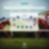 A detailed diagram illustrating horse racing strategies