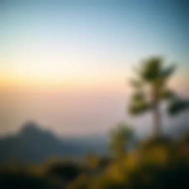 A serene landscape illustrating the unexpected changes in life post-lottery win.