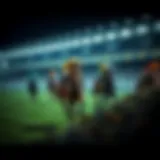 Overview of online horse racing betting sites