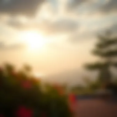 A serene setting for contemplating lottery choices