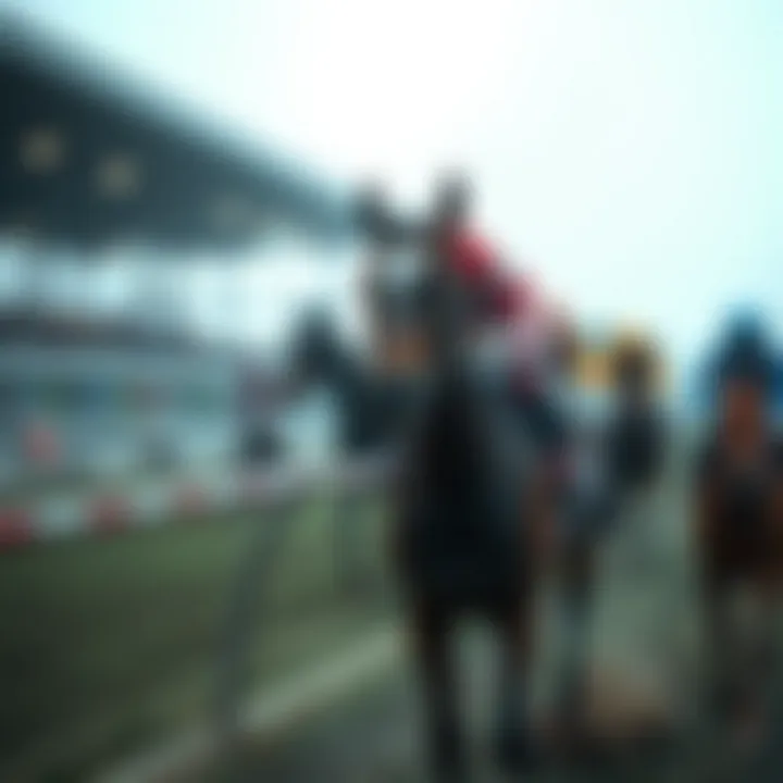 Different types of bets in horse racing